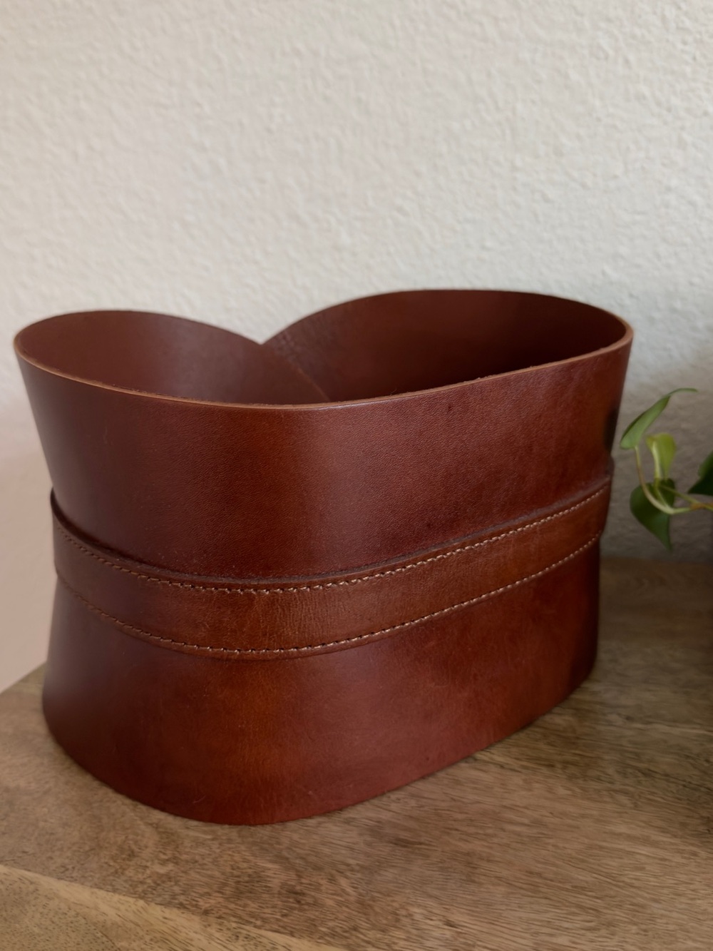 Zara Wide Leather Sash Belt - Brown with Gold Buckle - Picture 5 of 7